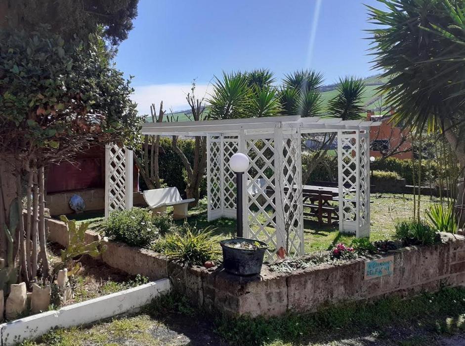 Pier Delle Vigne B&B Pineto Exteriér fotografie