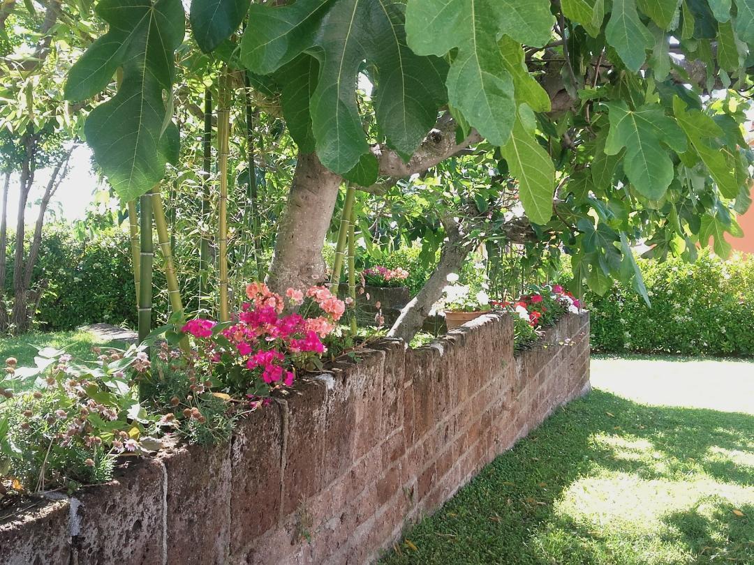 Pier Delle Vigne B&B Pineto Exteriér fotografie