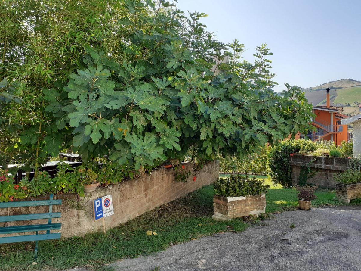 Pier Delle Vigne B&B Pineto Exteriér fotografie