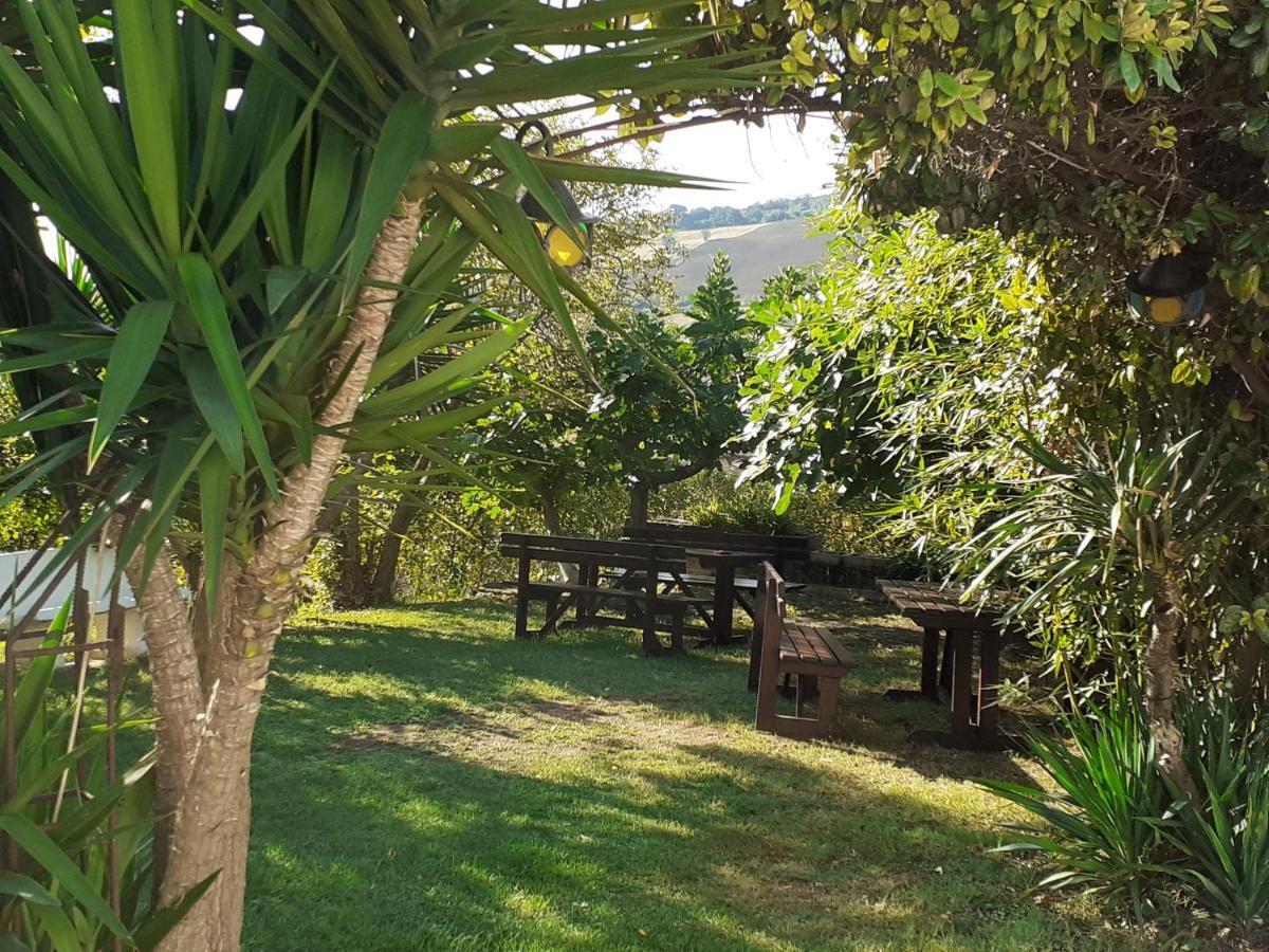 Pier Delle Vigne B&B Pineto Exteriér fotografie