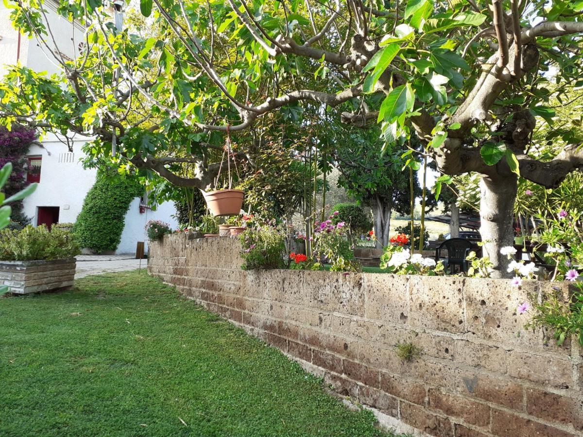 Pier Delle Vigne B&B Pineto Exteriér fotografie