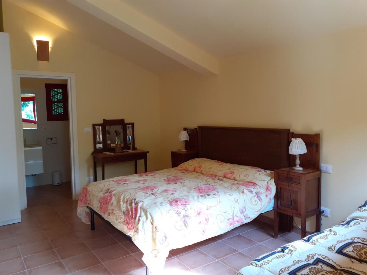 Pier Delle Vigne B&B Pineto Exteriér fotografie