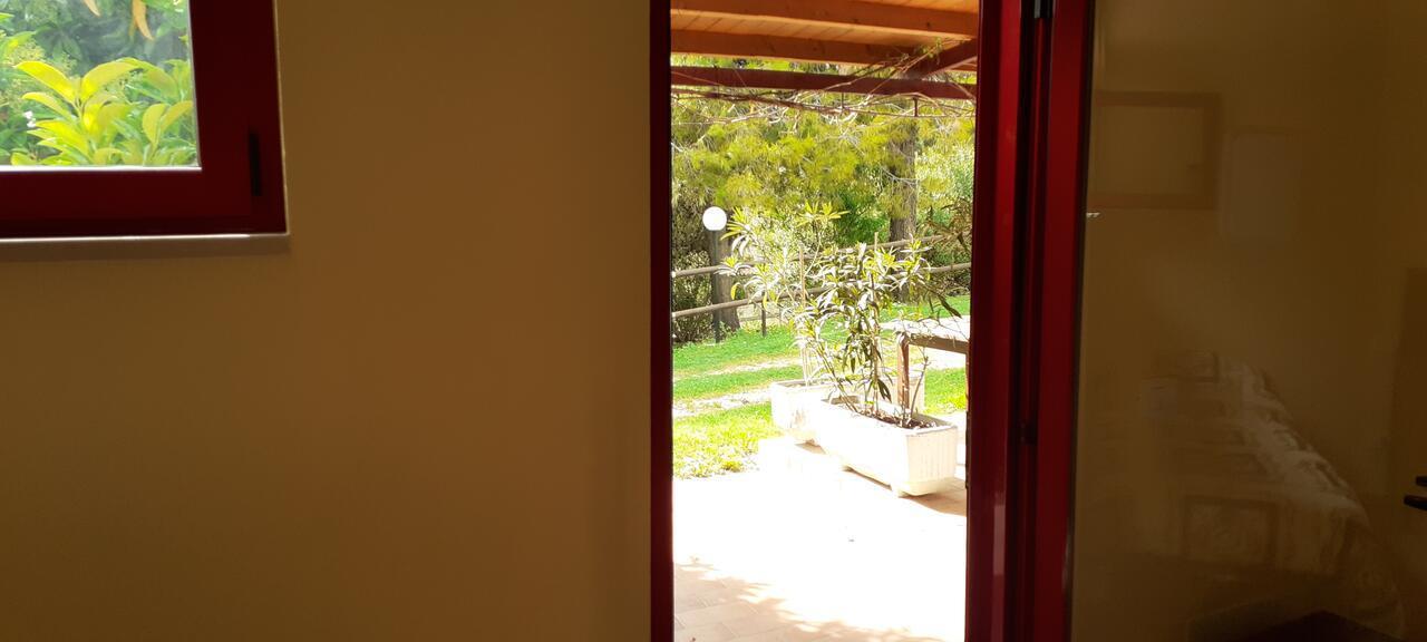 Pier Delle Vigne B&B Pineto Exteriér fotografie