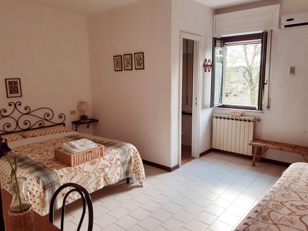 Pier Delle Vigne B&B Pineto Exteriér fotografie