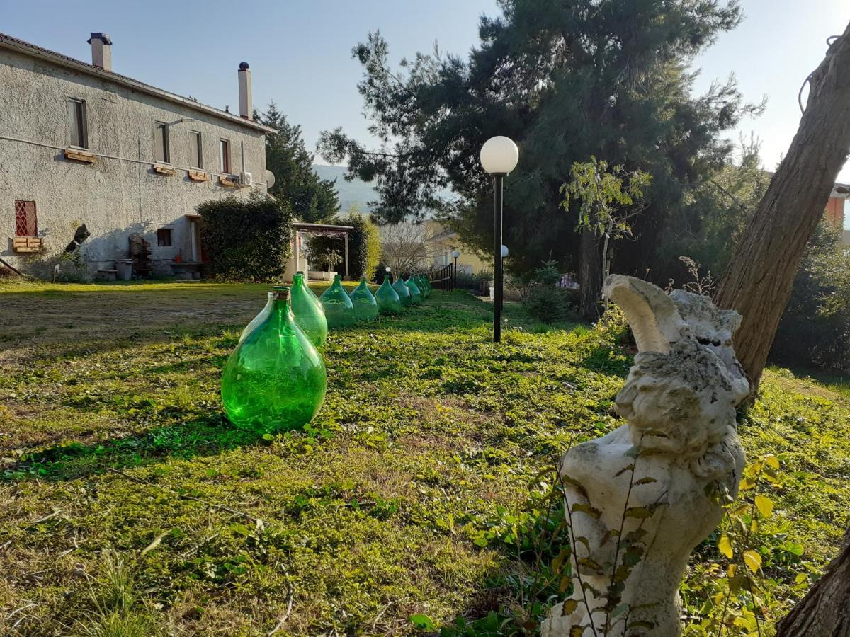 Pier Delle Vigne B&B Pineto Exteriér fotografie