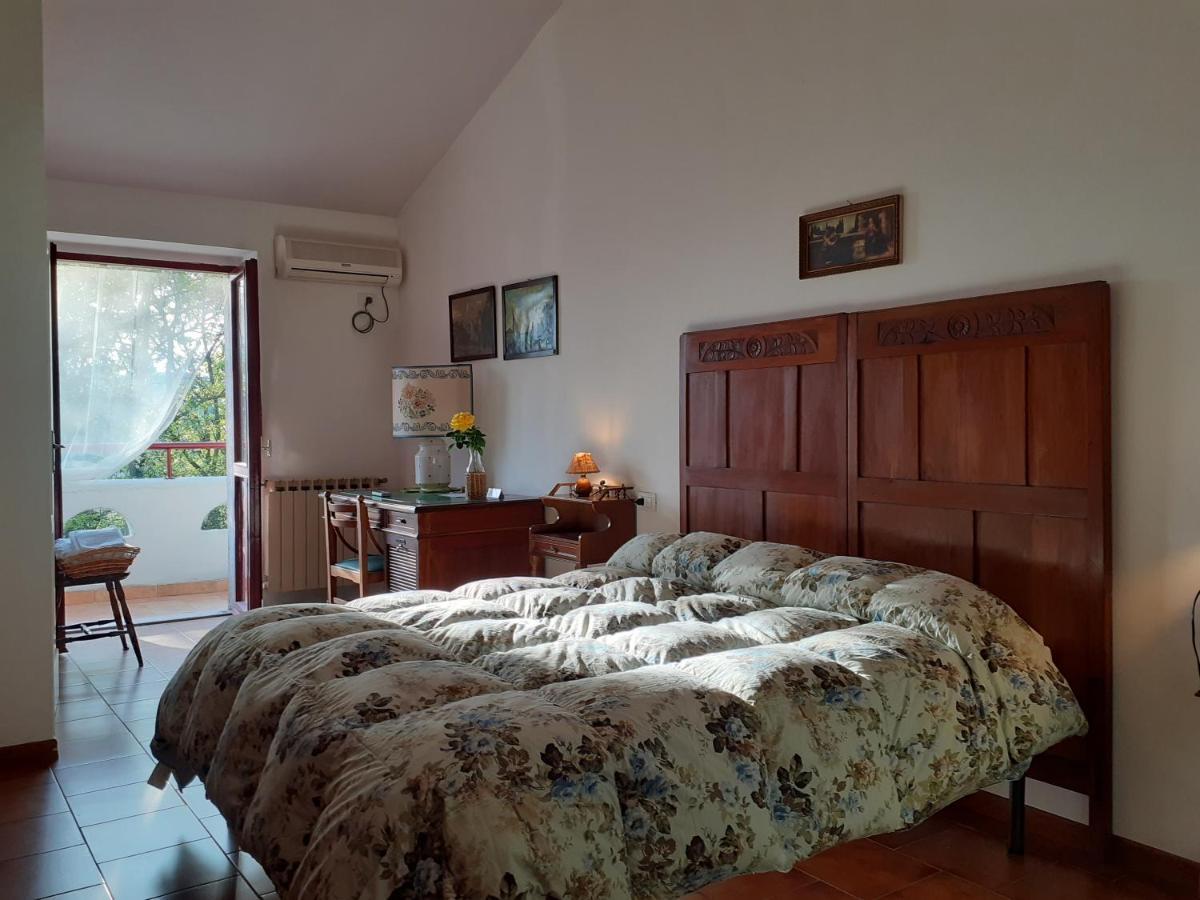Pier Delle Vigne B&B Pineto Exteriér fotografie
