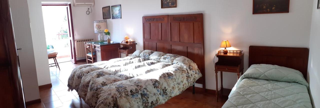 Pier Delle Vigne B&B Pineto Exteriér fotografie